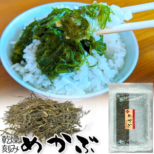 _13%OFFN[|319:59^ ݂߂  Ju YHi א؂ ݂߂ 킩 т̂ т̂Ƃ pI j j a Mtg v[g 蕨  j 