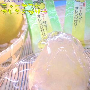 y z 50%OFFN[|Ώ z j[T}[IW[[ 12 Mtg XC[c t[c[[ ЂƂ َq lߍ킹 Zbg  ʕ[[ l j 蕨 v[g 