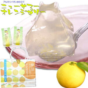 yő500~OFFN[|z t[c[[ lߍ킹 j[T}[IW[[5Zbg j v[g pI  ԗi Ԃ ɓ l V~ ~  