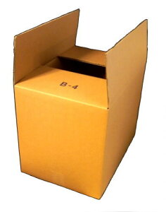 z 100TCY VO_{[ I-B4×30 pbN