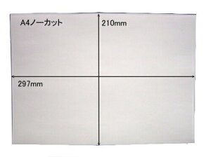 n ㎿ʎ m[Jbg^bNV[A4×20 TCYF297mm×210mm FnN[F XbgȂ CNWFbgv^[ 唻V[