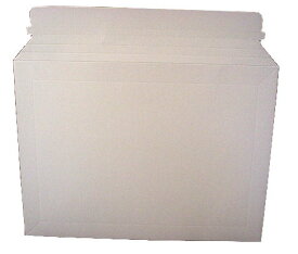 ワンタッチ厚紙封筒 デルパックA3×10枚 パック