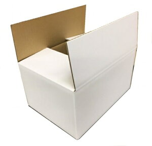 z80TCY VO_{[ SA-80 ΂甄