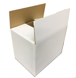 z100TCY VO_{[ SA-100×30 pbN