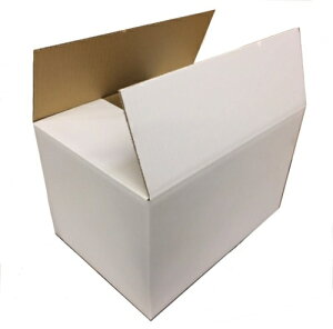 z120TCY VO_{[ SA-120×5 pbN