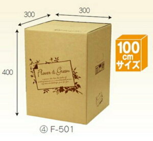 t[BOX F501×40 pbN z100TCY ꕔ