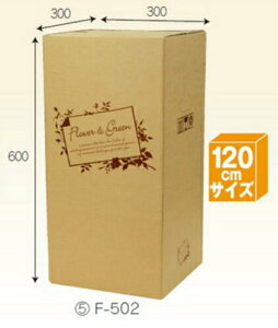 t[BOX F502×30 pbN z120TCY ꕔ