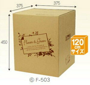 t[BOX F503×30 pbN z120TCY ꕔ