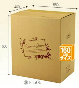 t[BOX F505×20 pbN z160TCY ꕔ