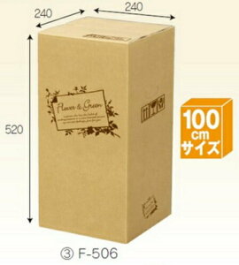 t[BOX F506×40 pbN z100TCY ꕔ