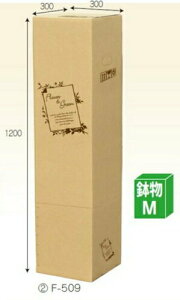 t[BOX F509×10 pbN M ꕔ