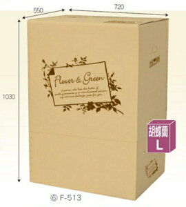 t[BOX F513×5 pbN ӒL ꕔ