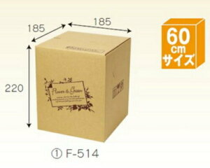 t[BOX F514×80 pbN z60TCY ꕔ