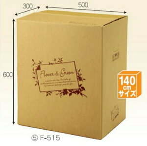 t[BOX F515×20 pbN z140TCY ꕔ