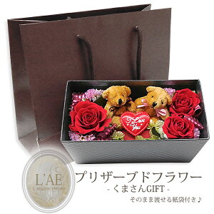 t[{bNX vU[uht[ [Y o KN  xA[ N} F n[g ʂ Mtg yaLOz NX}X v[g