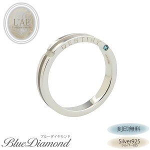 w O u[_Ch Vo[925 }bWO    DESTINY Mtg LAE A[Gem uh NX}X v[gyaLOz