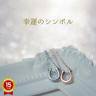 傷つきにくい 黒ずまない 錆びない つけっぱなしOK ホースシュー ペアネックレス ステンレス opp00056 親…
