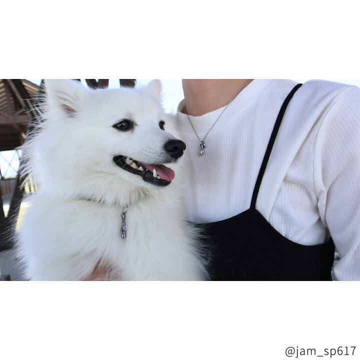 楽天市場】Lauss 愛するワンちゃんとペアアクセ 【犬】 名入れ  