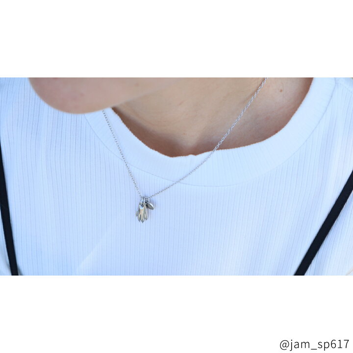 楽天市場】Lauss 愛するワンちゃんとペアアクセ 【犬】 名入れ  