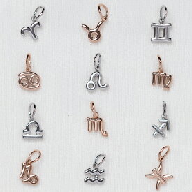【単品チャーム1つ】12種類から選べる星座チャーム ステンレス アレルギー対応 つけっぱなしok otc009