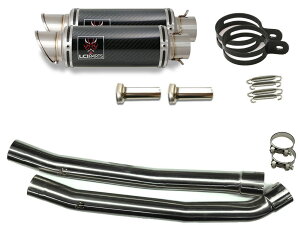 JTL ZX-14R ZZR1400 ZX14R 2012-2022 LCIPARTS LCI V[gJ[{ XbvI }t[