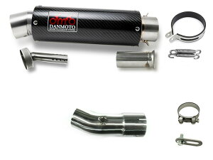 JTL ZRX1200 DAEG _GO 2009-2016 DANMOTO J[{ XbvI }t[