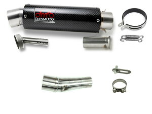 JTL FVX-X 250 Versys-X 250 2017-2021 DANMOTO J[{ XbvI }t[