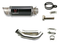 ホンダ HORNET250 ホーネット250 LCIPARTS ショートカーボンスリップオンマフラー