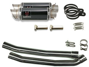 �J���T�L ZX-14 ZZR1400 ZX14 2008-2011 LCIPARTS �V���[�g�J�[�{���X���b�v�I���}�t���[