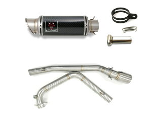 �X�Y�L GSX-R125 / GSX-S125 2017-2025 LCIPARTS �V���[�g�J�[�{���t���G�L�]�[�X�g�}�t���[