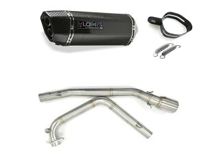 �X�Y�L GSX-R125 / GSX-S125 2017-2025 LCIPARTS �c�C���G���h �J�[�{�� �t���G�L�]�[�X�g�}�t���[