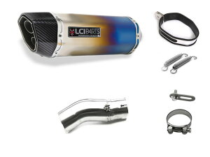 �J���T�L NINJA H2SX / H2SX SE 2018-2021 LCIPARTS �c�C���G���h �`�^�� �X���b�v�I�� �}�t���[