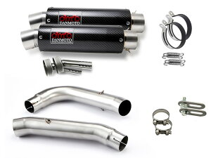 �z���_ VTR1000SP1 RVT1000R SP1 2000-2002 SC45 DANMOTO �J�[�{�� �X���b�v�I���}�t���[