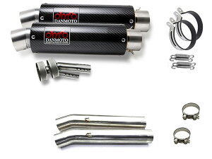 �J���T�L ZZR1200 2002-2005 DANMOTO �J�[�{�� �X���b�v�I���}�t���[