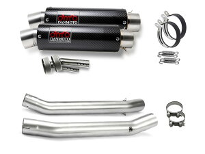 �X�Y�L GSX1300R �n���u�T �� 1999-2007 DANMOTO �J�[�{�� �X���b�v�I���}�t���[