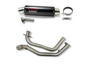 �X�Y�L �W�N�T�[250 / V-STROM250SX 2022-2025 DANMOTO �J�[�{�� �t���G�L�]�[�X�g�}�t���[