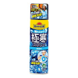 【超目玉特価】LL43 小林製薬 熱中対策 服の上から極寒スプレー 無香料 ジェット冷気で瞬間冷却 330ml【NP】