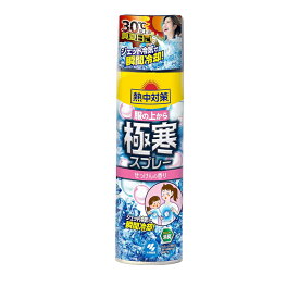 【超目玉特価】LL44 小林製薬 熱中対策 服の上から極寒スプレー せっけんの香り ジェット冷気で瞬間冷却 330ml【NP】