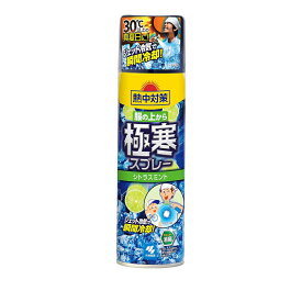 【超目玉特価】LL45 小林製薬 熱中対策 服の上から極寒スプレー シトラスミントの香り ジェット冷気で瞬間冷却 330ml【NP】