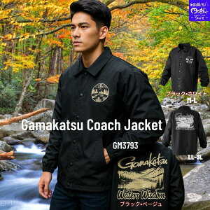 ySALE10%OFFzy\̔ Viz܂ EFA NEW R[`WPbg GM3793 M~L LL~3L, 2TCY tbv|PbgZ^[t@Xi[JɎgpł|Pbgtgtbv