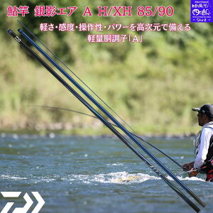ダイワ 銀影エア A テクニカル 90・Q (ロッド・釣竿) 価格比較 - 価格.com