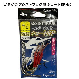 【市場の日＜P5倍SALE】がまかつ(Gamakatsu) アシストフック 貫 ショートSP 4/0 15mm pe30号 3組入 ga-027 ブリ ワラサ ヒラマサ ジギングフック ショアジギング 中芯入り フロロカーボン 釣り具 海釣り 高強度 1,000円以上 送料無料