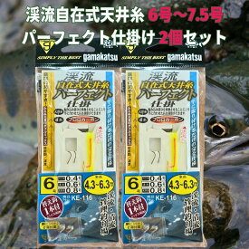 【マラソンSALE＝P5倍】がまかつ(Gamakatsu) 渓流自在式天井糸 パーフェクト仕掛 2個セット KE-116 6号/7号/7.5号 道糸フロロカーボン ハリス0.4/0.6/0.8号 渓流釣り 完全仕掛け ヤマメ イワナ 初心者からベテランまで おすすめ ゆうメール便 送料無料 レビュー特典付