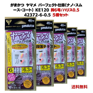 ySALEz܂(Gamakatsu) }p[tFNgd| (imX[X) 6 nX0.5 KE120 5Zbg 42372 kނ Sd|  r[Tt