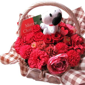 Xk[s[ ԑ vU[uht[ ԃoMtg ͂Ȃt[Mtg