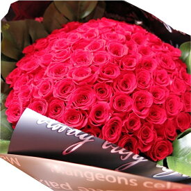 【枯れない 赤バラ 100本 花束】 プロポーズ リザーブドフラワー ミニ赤バラ 花束 薔薇100本使用 プリザーブドフラワー 花束 枯れずにいつまでもキレイな赤バラ プロポーズ 彼女 ケース付き