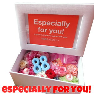 vU[uht[ ʐ^ Ďj 88 tHgt[ vU[uht[Mtg 2 ]łv܂