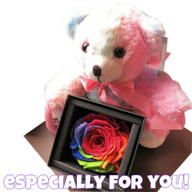 楽天市場 虹色 花 花 ガーデン Diy の通販