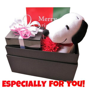 �N���X�}�X�v���[���g �X�k�[�s�[���� �� �_�C�������h ���C���{�[���[�Y���� �����J���ăT�v���C�Y �X�k�[�s�[���� �����{�b�N�X �v���U�[�u�h�t�����[���� ���X�k�[�s�[�J���[�͂��C��