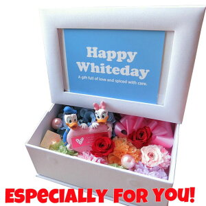 zCgf[ Ԃ ޏ v[g hih f[W[ n[g ʐ^ tHgt[  v[g vU[uht[